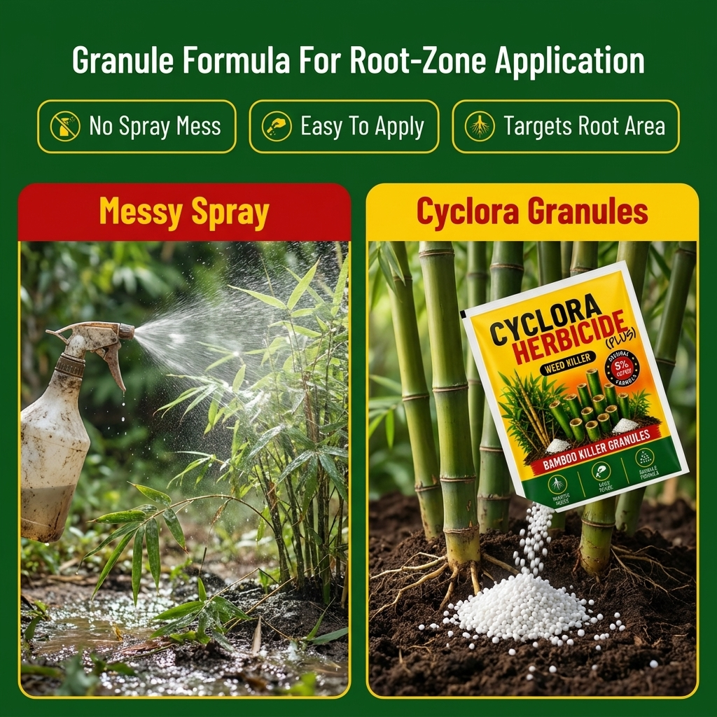 Cyclora Herbicide Granules | BUY 1 GET 3 FREE